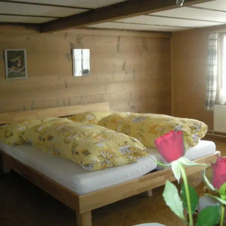 Hotel Gasthaus Elsigbach *