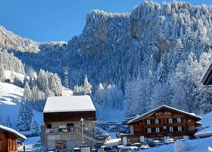 Hotel Gasthaus Elsigbach *